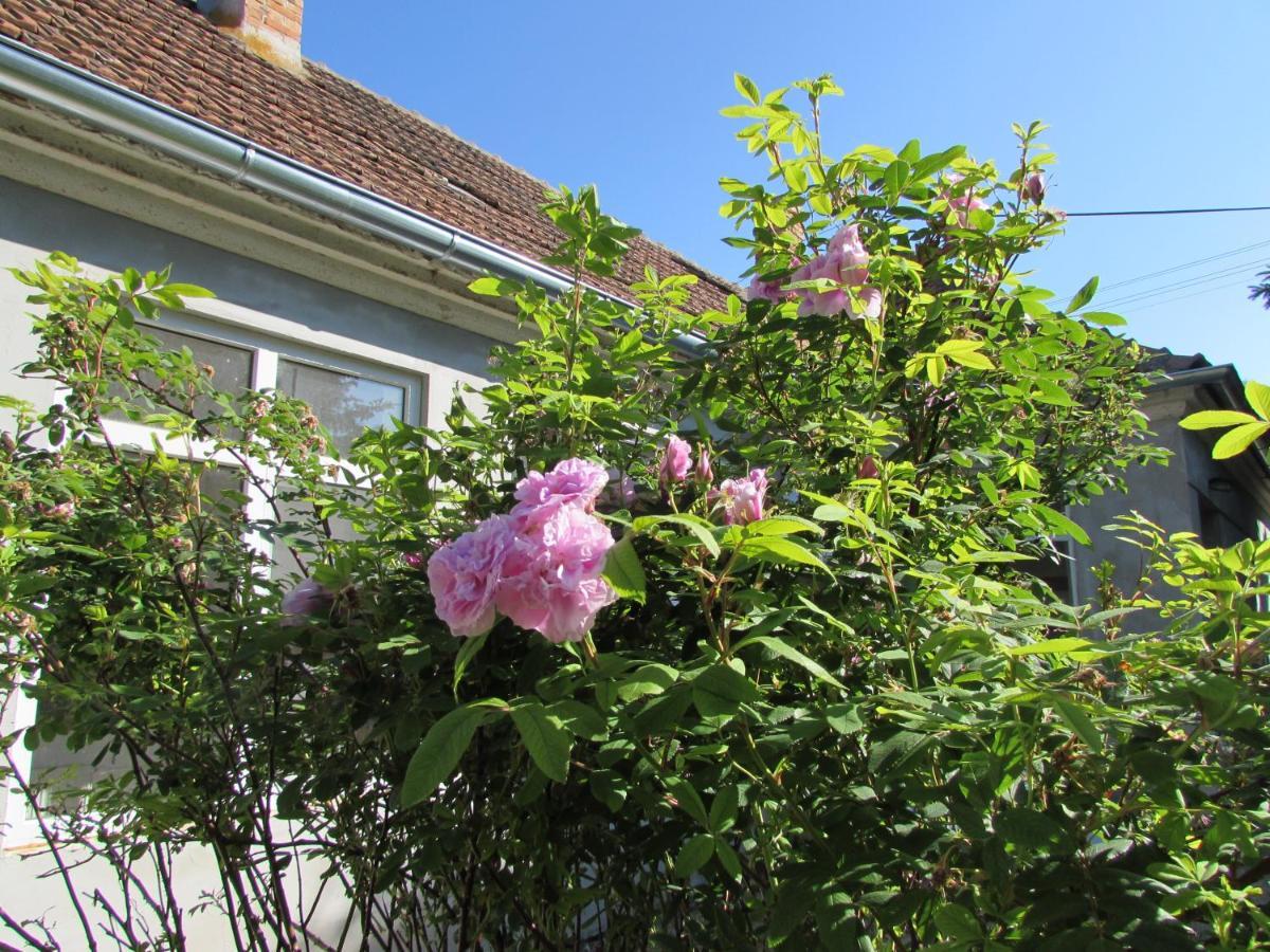 Bara Haz Villa Tvrdosovce Exteriör bild